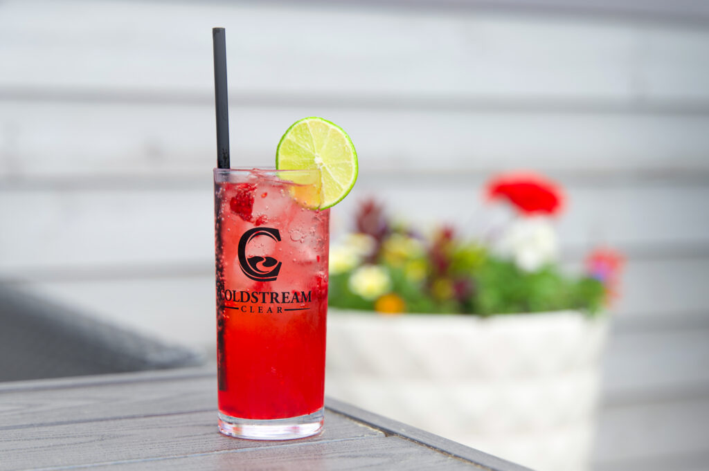 Raspberry Gin Spritz