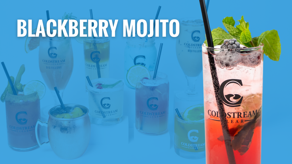Blackberry Mojito